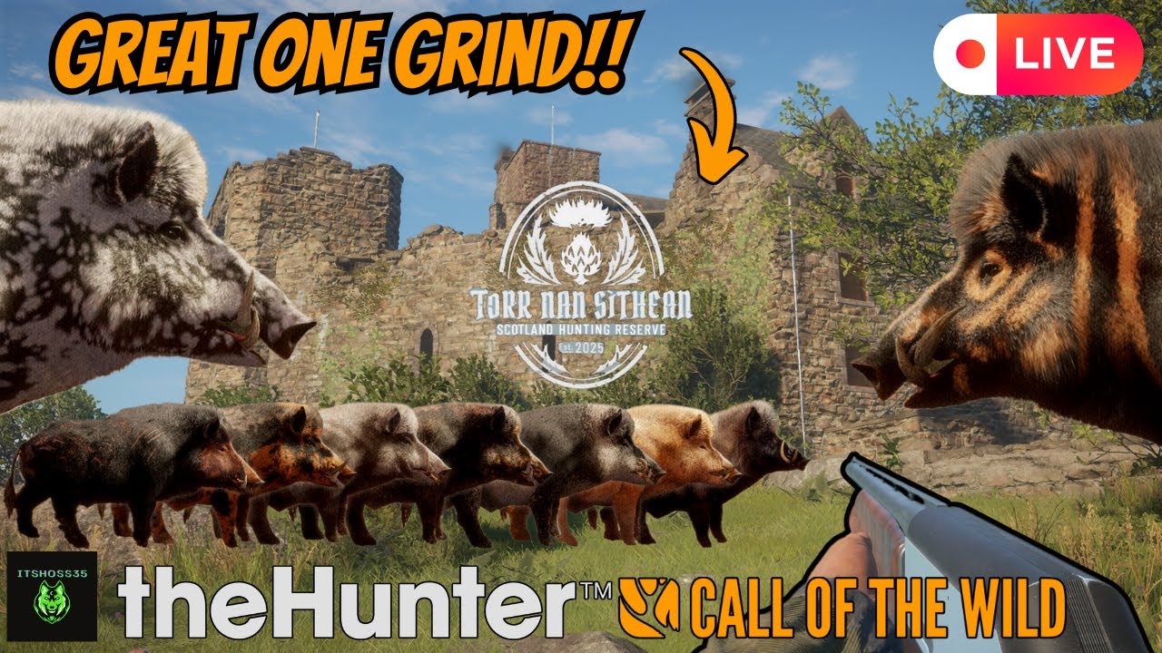 Hunting for the Great One Boar, Will We Spawn it?! | theHunter: Call of the Wild