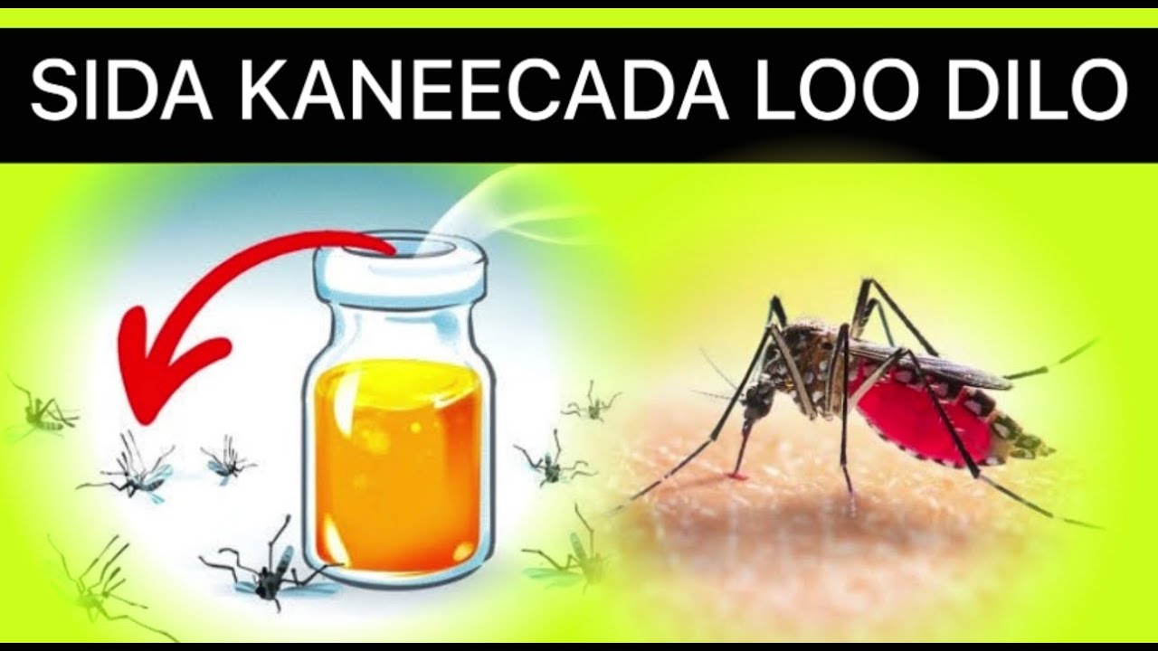 Sida ugu Fudud Kaneecada Gurigaada Looga Dhameeyo adigoo Qudaar Lee isticmaalayo