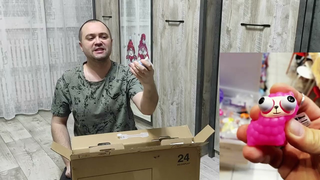 Самый дешевый монитор VecorSonic 24