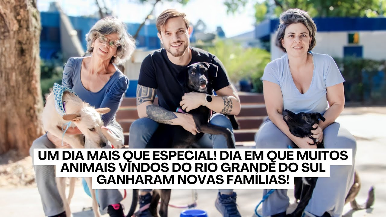 O Dia em que muitos animais vindos do Rio Grande do Sul ganharam novas famílias!