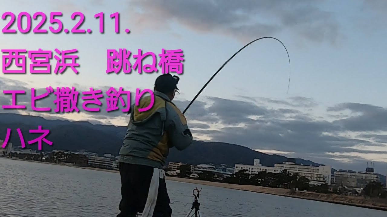 2025.2.11.西宮浜　跳ね橋　エビ撒き釣り　ハネ！