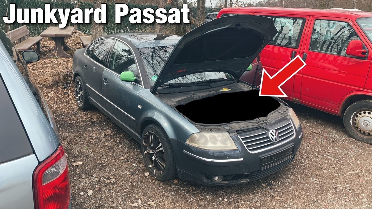 Junkyard Passat With Something Special! ( + Junkyard Scores! )