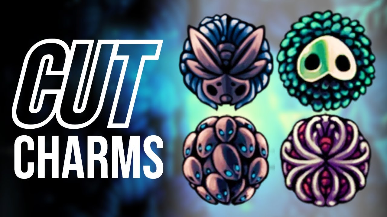 Hollow Knight's SECRET CHARMS!