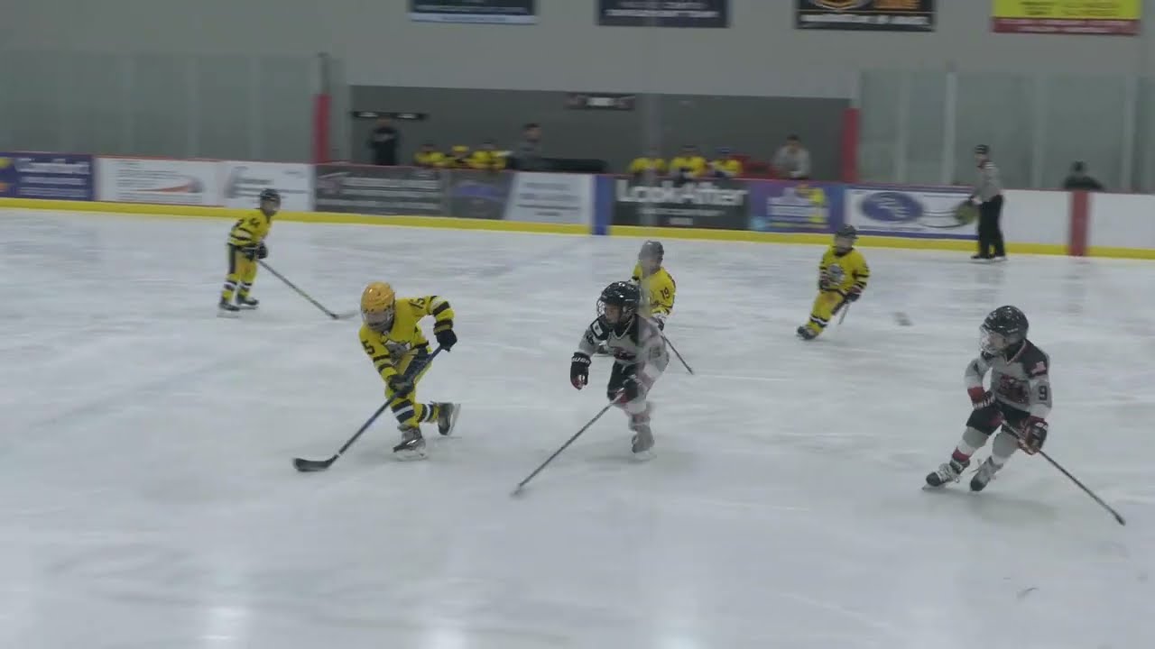 Chicago Reapers vs Toronto Bulldogs - Mite AAA Hockey - 9/2/23