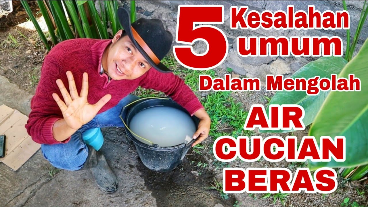5 Kesalahan dalam Menggunakan Air Cucian Beras !!!!