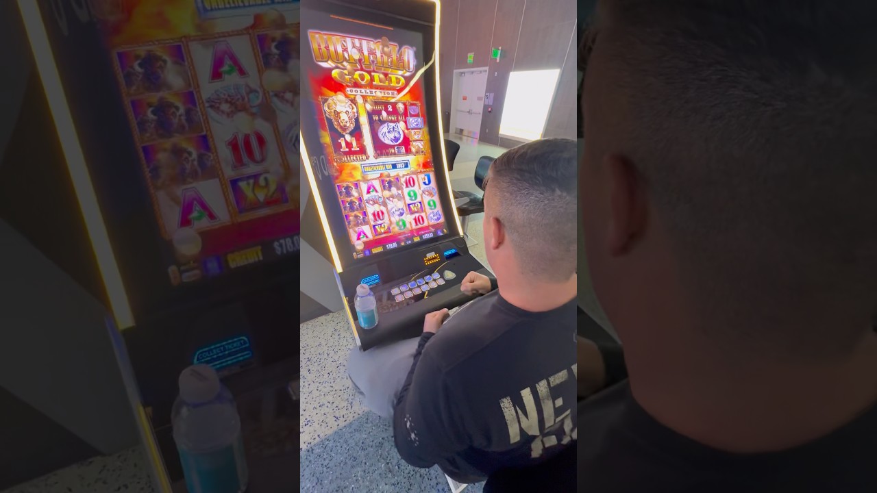 Buffalo Bonus Goes Wild! 60+ Free Spins and Big Action 🎰 #casino #gamble #vegas #slot #molifam
