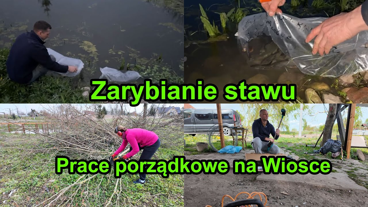🌱🐟 Zarybiamy Staw, Gałęzie i Koszenie Trawy – Prace Porządkowe na Wsi!