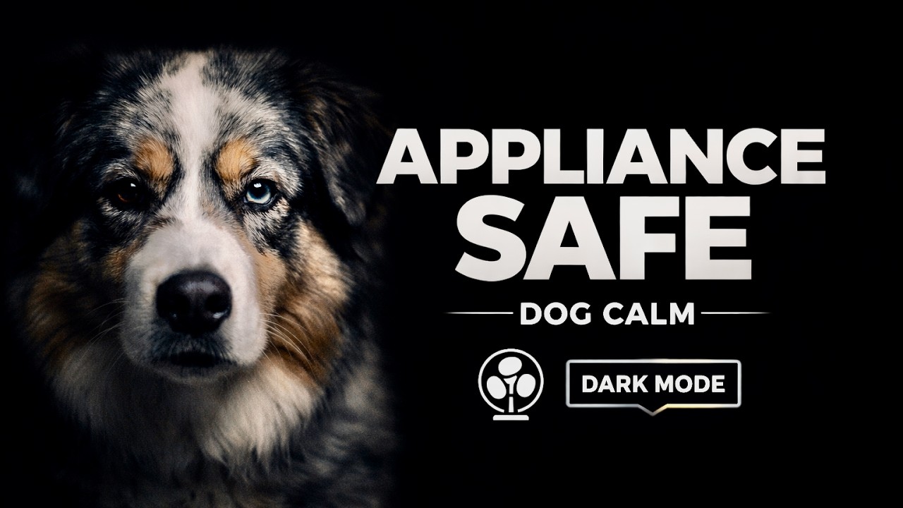 Vacuum Cleaner Anxiety Music for Dogs | Stop Barking Support | 60 Min (No Sudden Sounds)