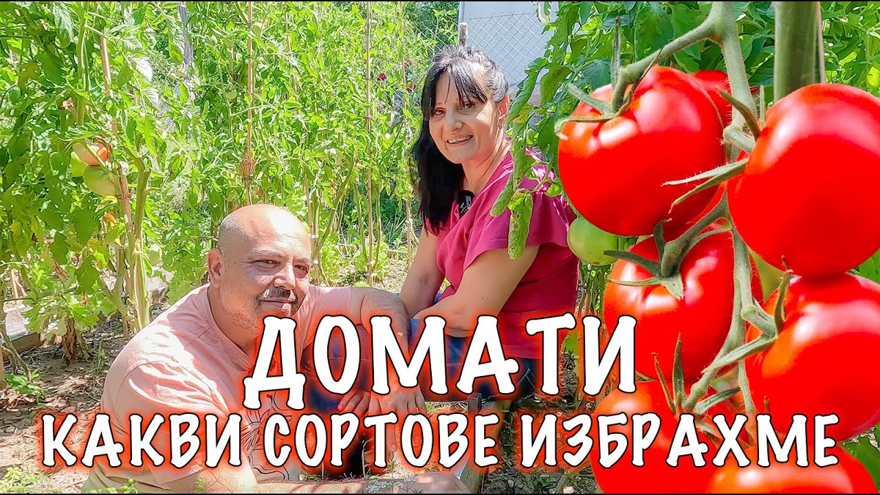 ДОМАТИ - какви сортове избрахме да отглеждаме тази година?
