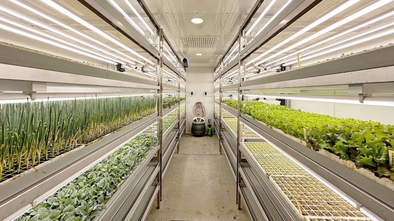 Aralab FitoClima Production Rooms Leafy Greens
