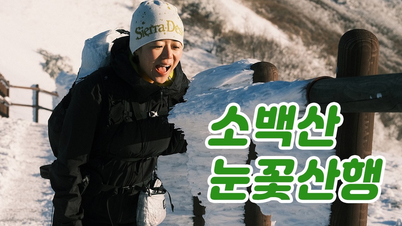 아직 겨울은 끝나지 않았다, 3월의 소백산 눈꽃산행❄️