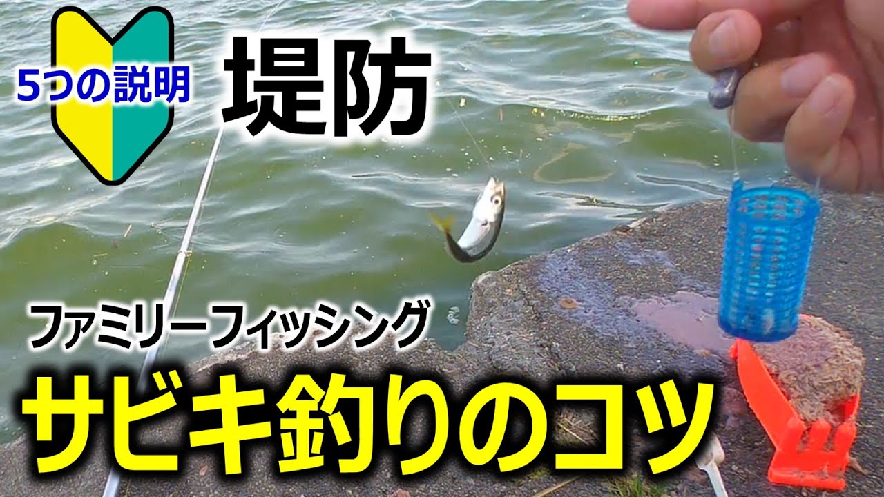 【サビキ釣り_初心者向け】釣りのコツ 〜5つの説明〜