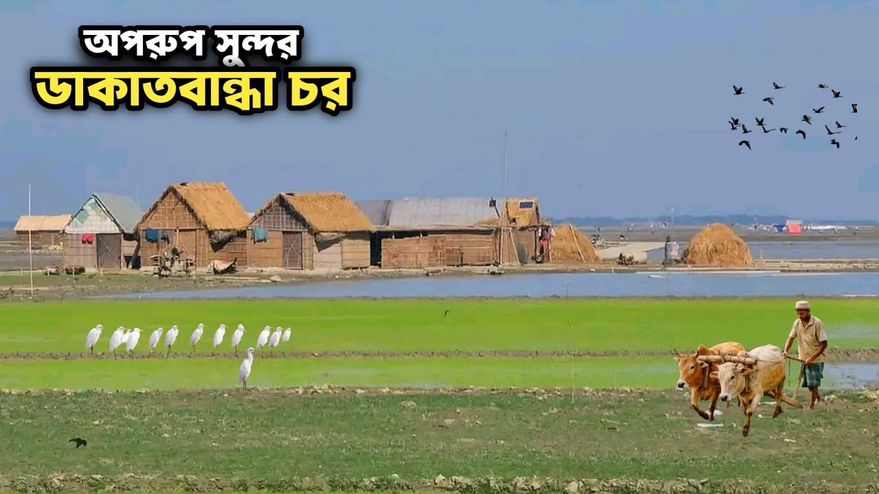 অপরূপ সুন্দর ডাকাতবান্ধা চর | নদীর বুকে সংগ্রামী কৃষকের জীবন | Real Char Life Bangladesh