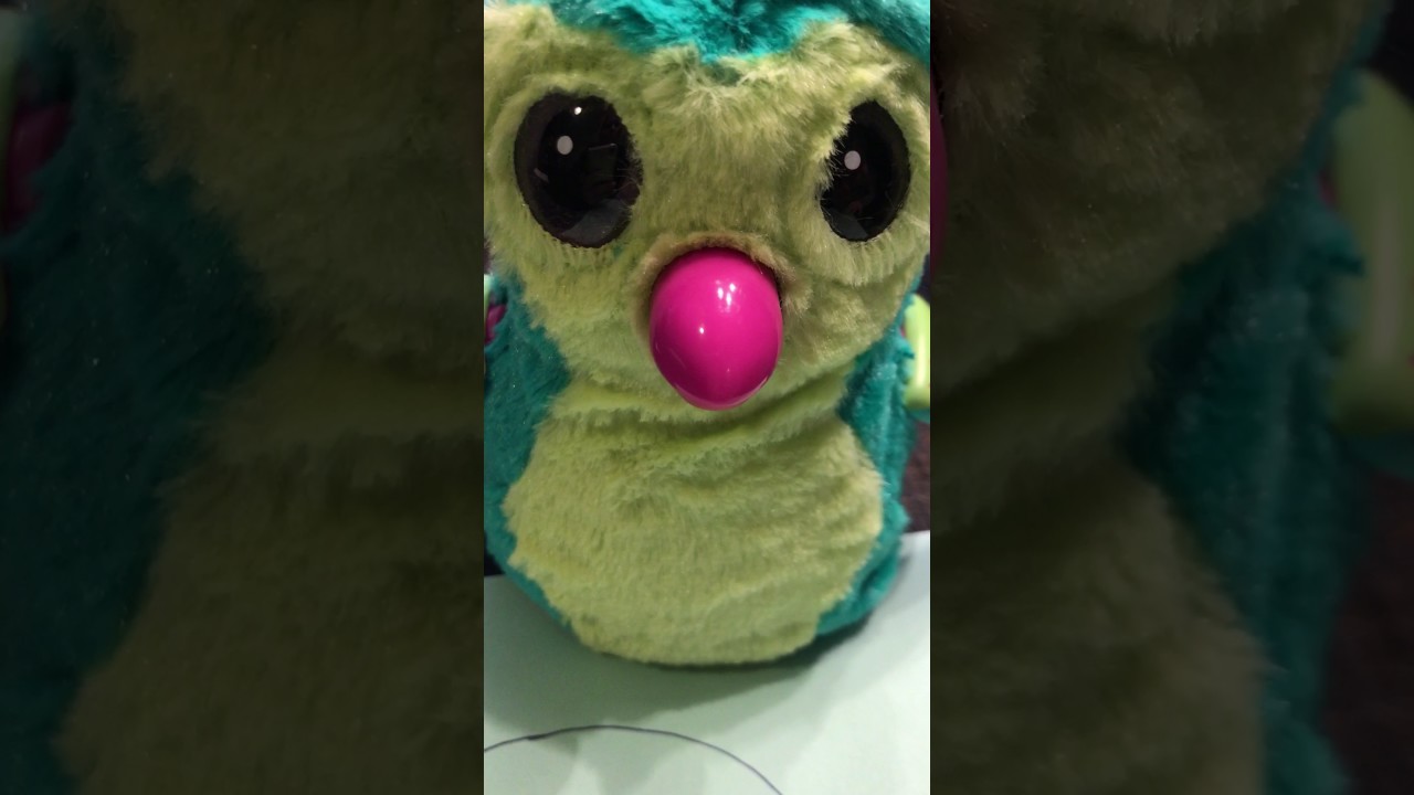 Secret trick! Hack for Hatchimal that won't turn on won't start or won't hatch