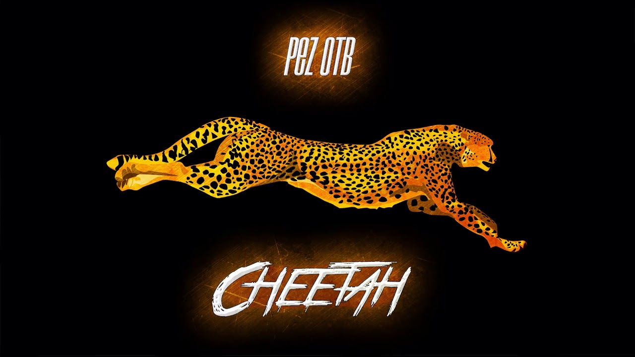 PEZ OTB - CHEETAH (Drum&Bass)
