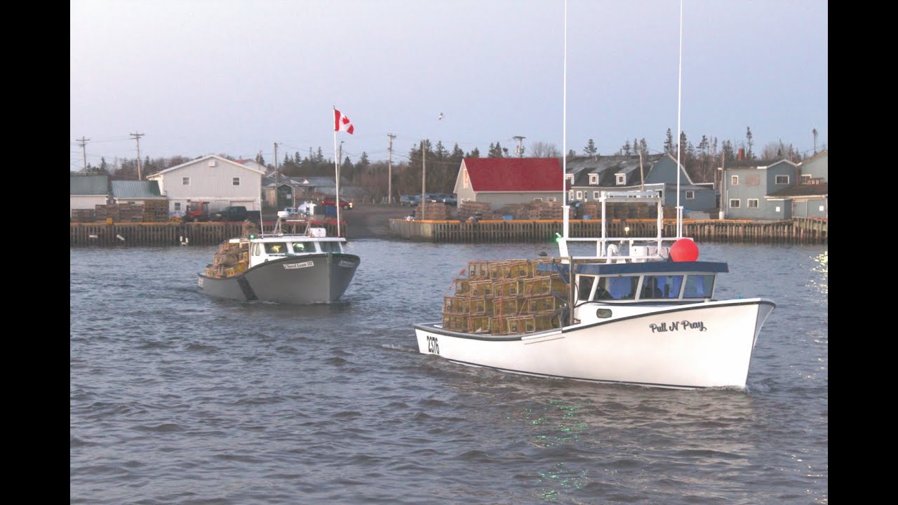 Setting Day 2023: Morell, Prince Edward Island