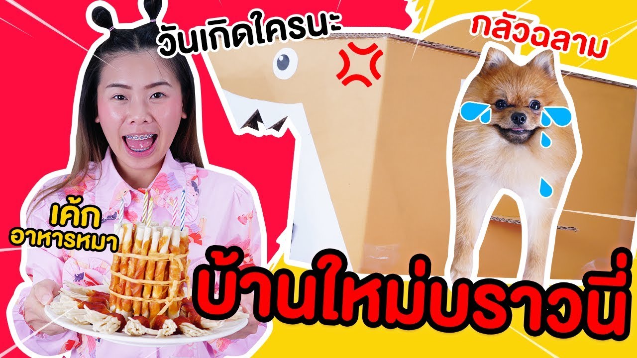 ฉลองวันเกิดบราวนี่ ด้วยฉลามกล่องกระดาษ l Pony Kids
