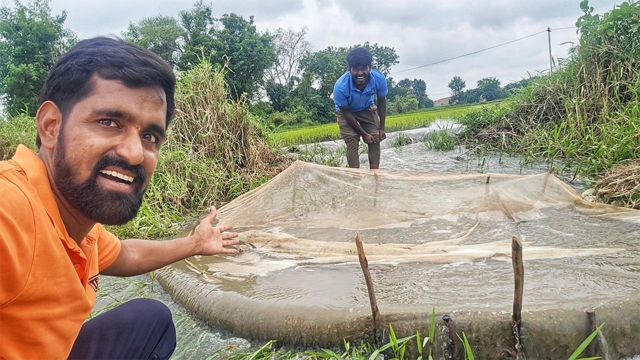 ఎవరో చేపల కోసం వల పెట్టారు 😲 🐟