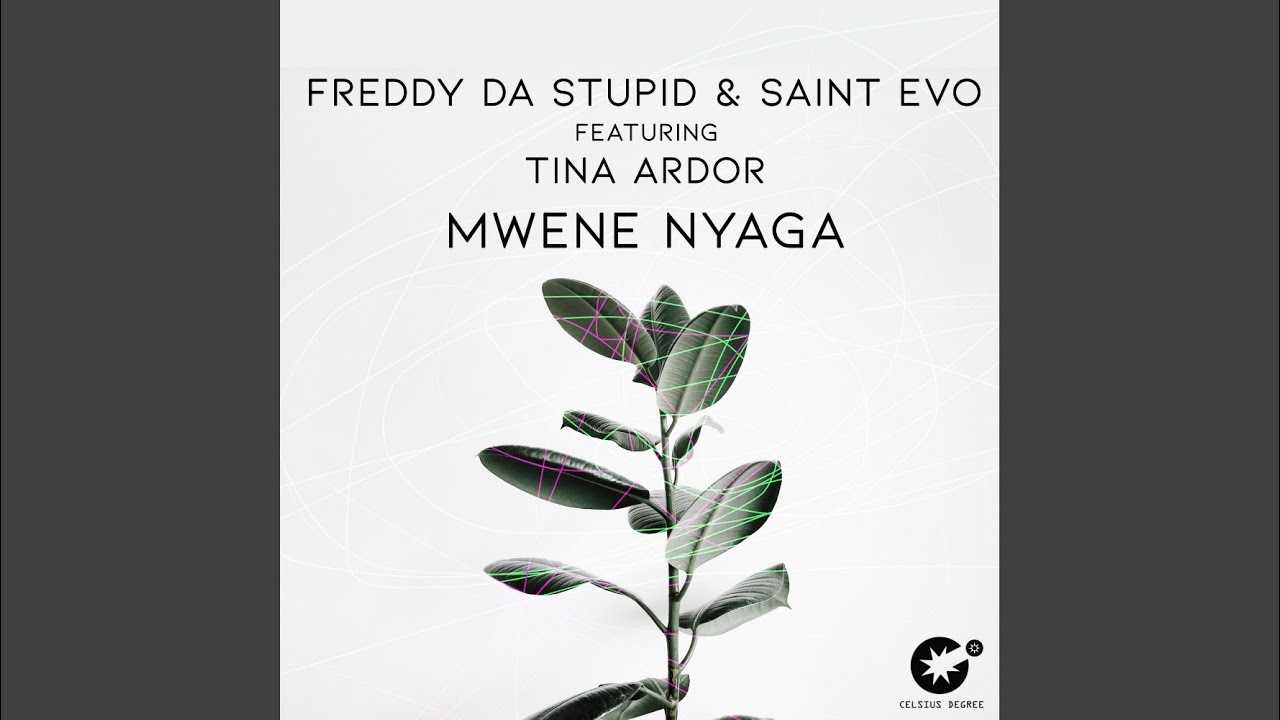 Mwene Nyaga (Original Mix)