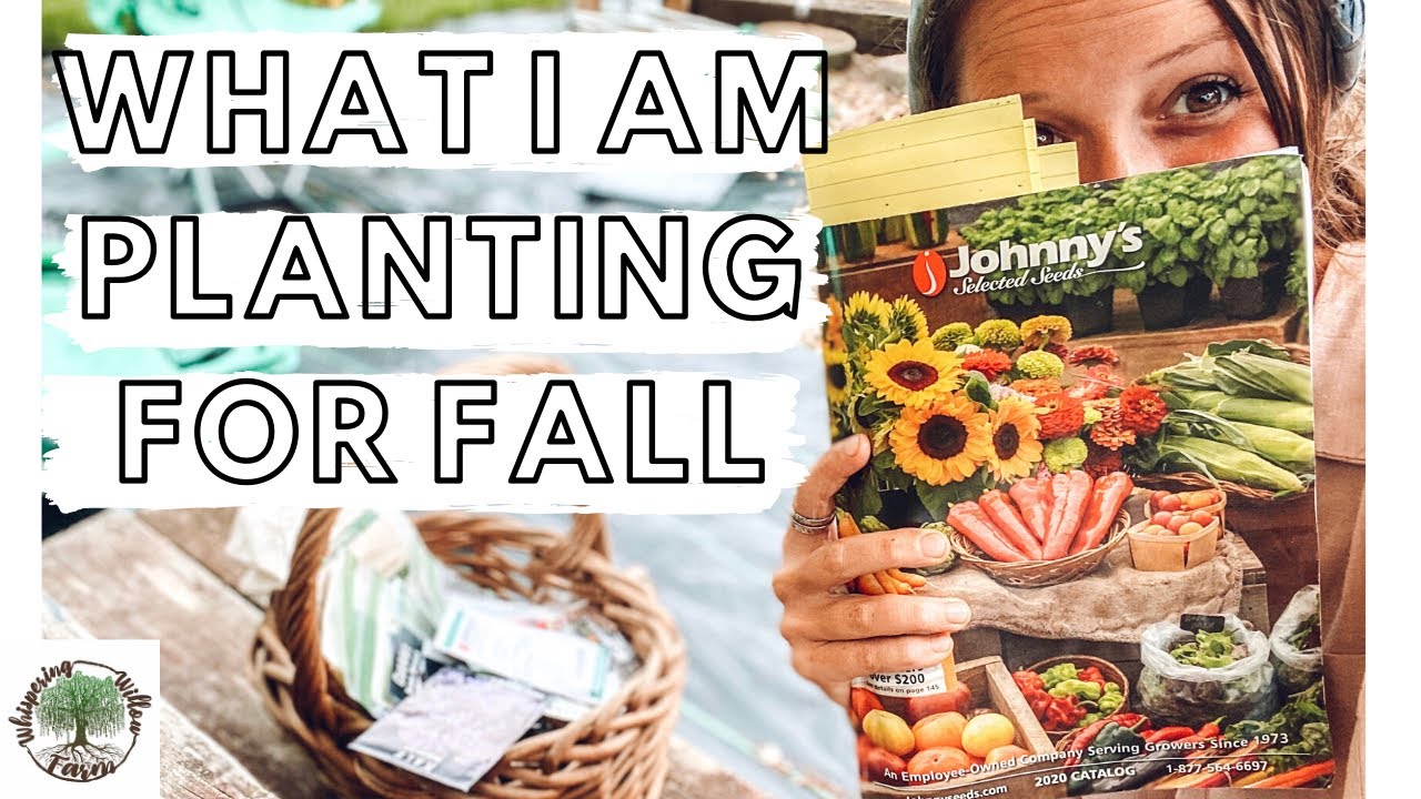 What I'm Planting This Fall (For Profit & Fun) |VLOG| Whispering Willow Farm