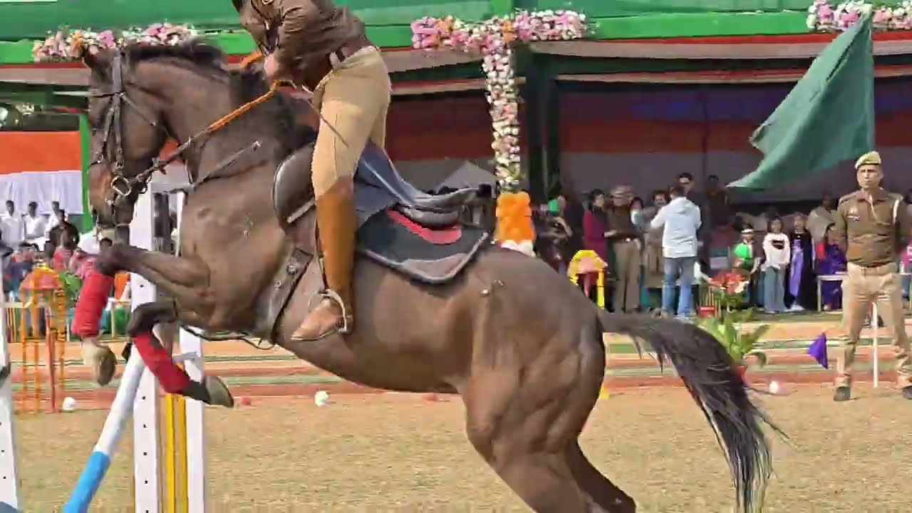 Horse 🐎 police 🚓 performance up police 