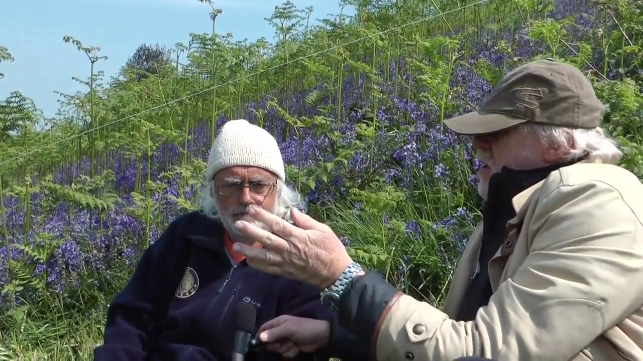 Mick Aston / Dating hedges