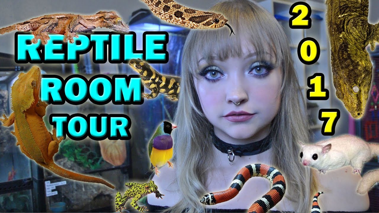 ANIMAL ROOM TOUR - 40+ Exotic Pets & Reptiles!