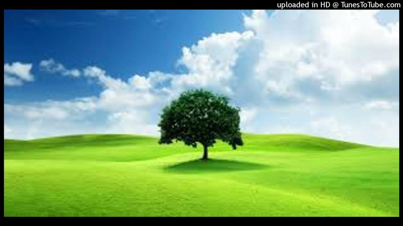 SCATZ x FTOS TWAN x HARD FLINT TYPE BEAT "slaughter"