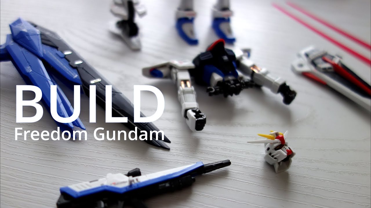 RG 1/144 FREEDOM GUNDAM Build | ASMR