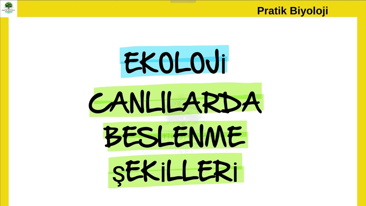 TYT / EKOLOJİ 2 / CANLILARDA BESLENME ŞEKİLLERİ / OTOTROF - HETEROTROF CANLILAR / FOTO-KEMOOTOTROF