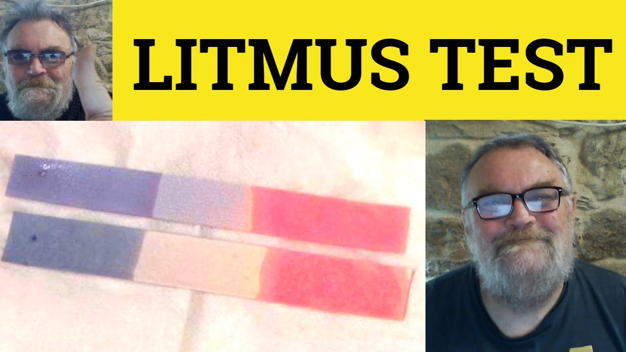 🔵 Litmus Test Meaning - Litmus Test Definition - Litmus Examples - Litmus Test