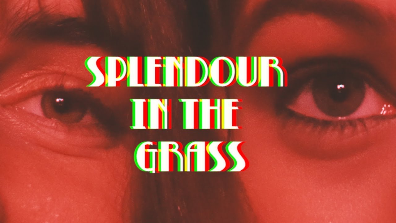 SPLENDOUR IN THE GRASS || FORTNIGHTLY FREY
