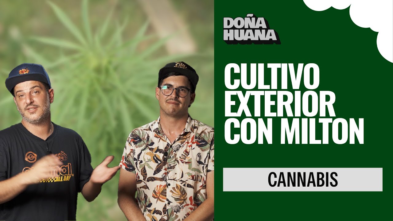 CULTIVO EXTERIOR 2024 Con MILTON - un cultivo normal y digno - PARTE 01