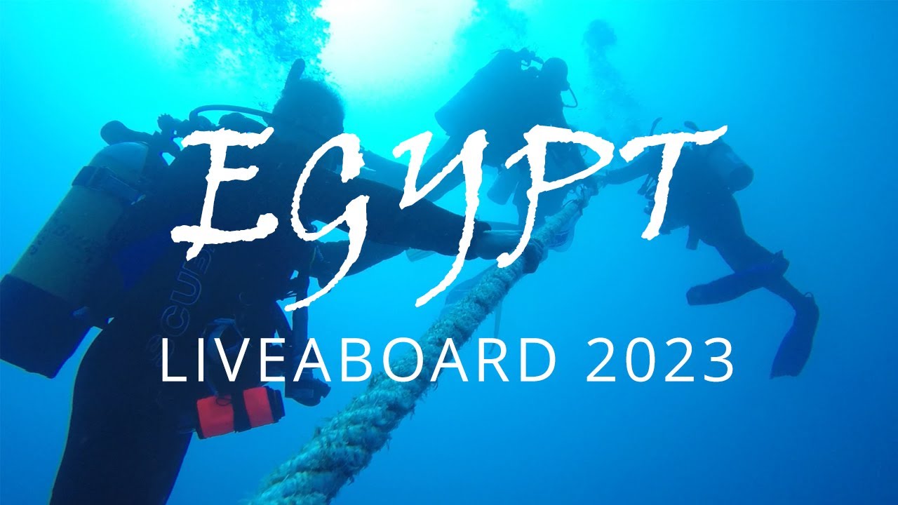Liveaboard Egypte 2023