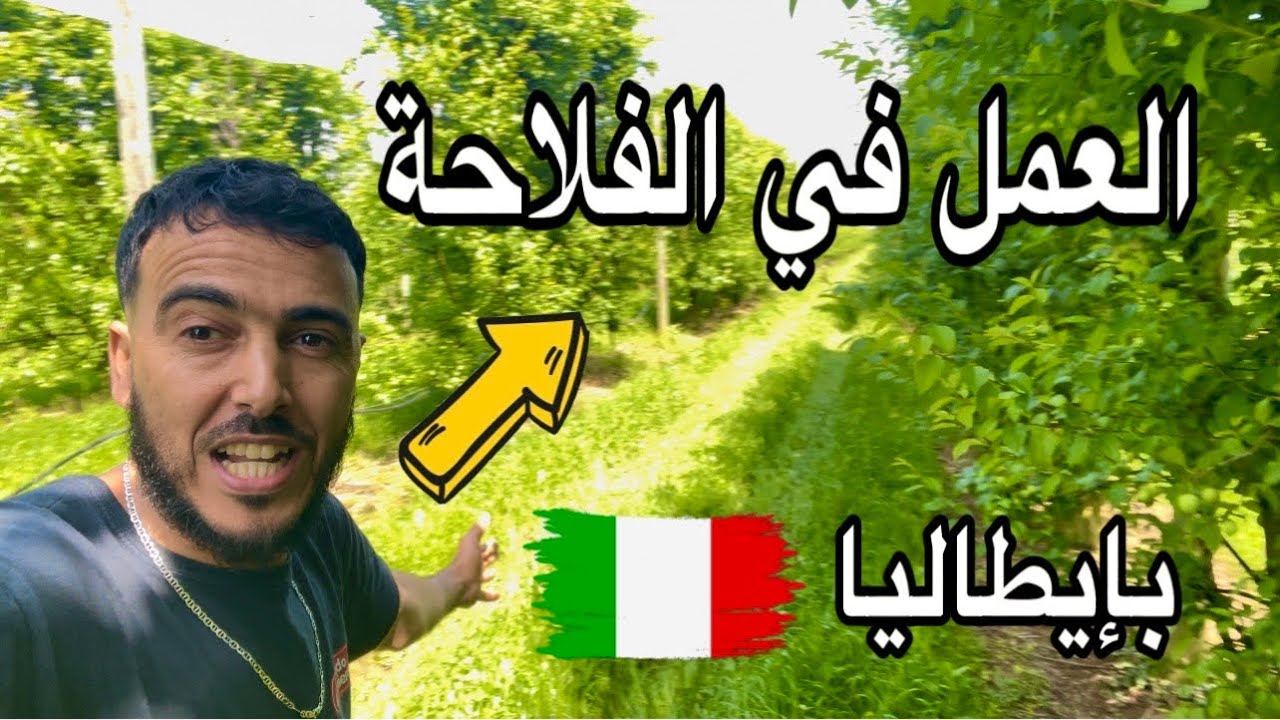 كيفاش تخدم في شمال إيطاليا 🇮🇹 وتلاقى كنترة لخوك في المغرب 🇲🇦