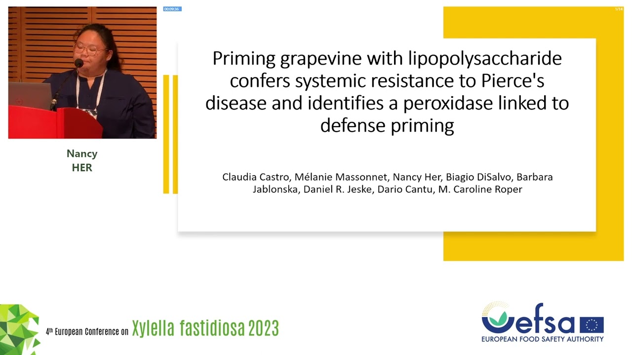 SESSION 2 &ndash; Latest findings on Xylella fastidiosa resistance and control