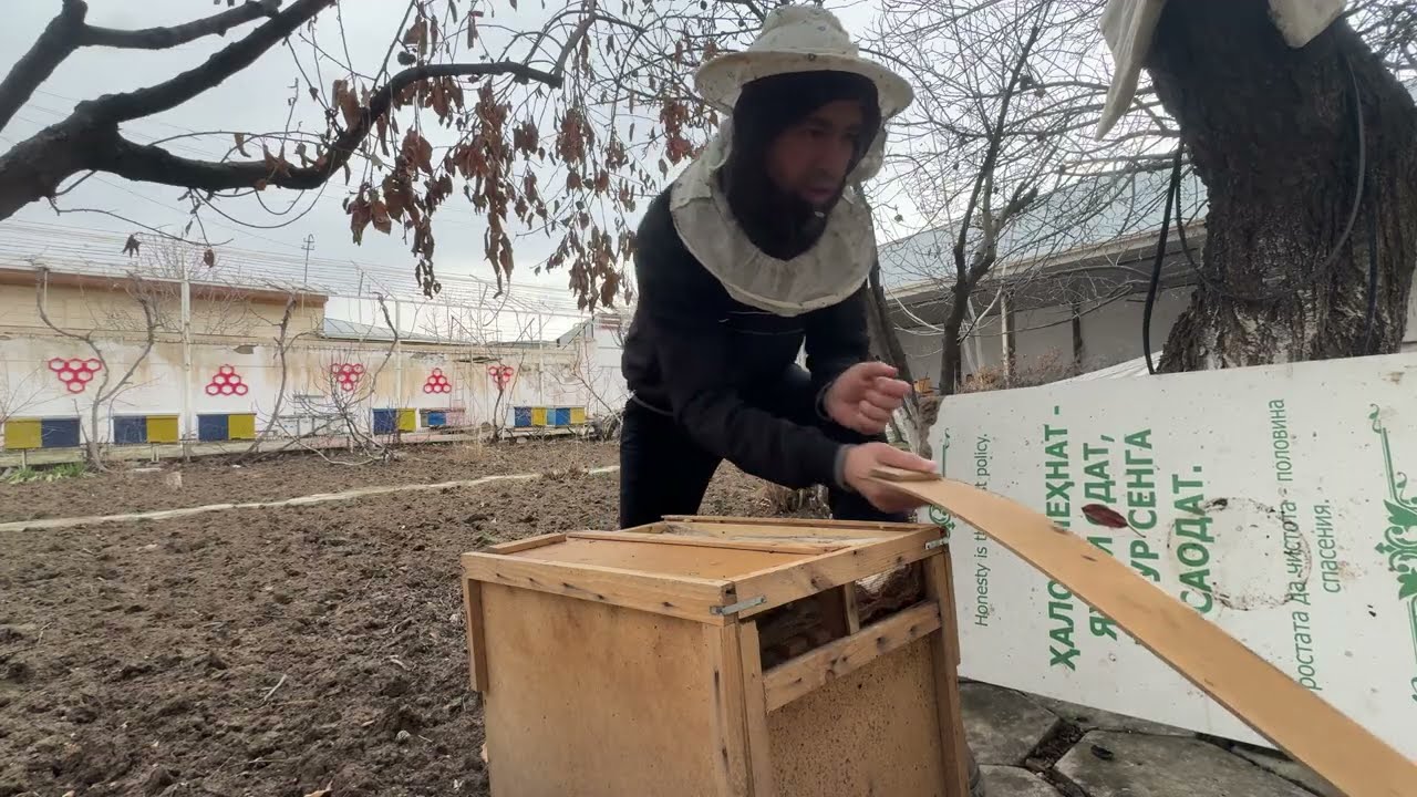 Пакет қутини тушунтираман (13.02.2026)