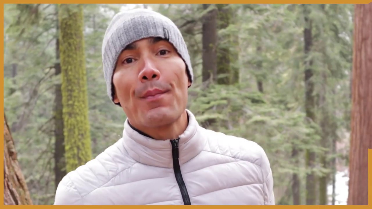 Connexion avec la nature - LifeForce au quotidien