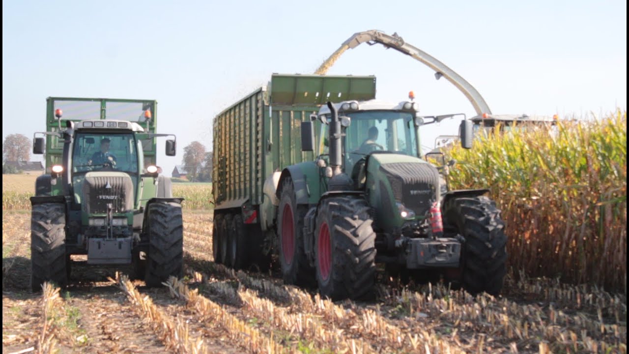Kukurydza na BGA ☆ F.H.U Romax w akcji ☆ 1x CLAAS 8x Fendt ☆ VIXA ☆ AgroSzymonTeam