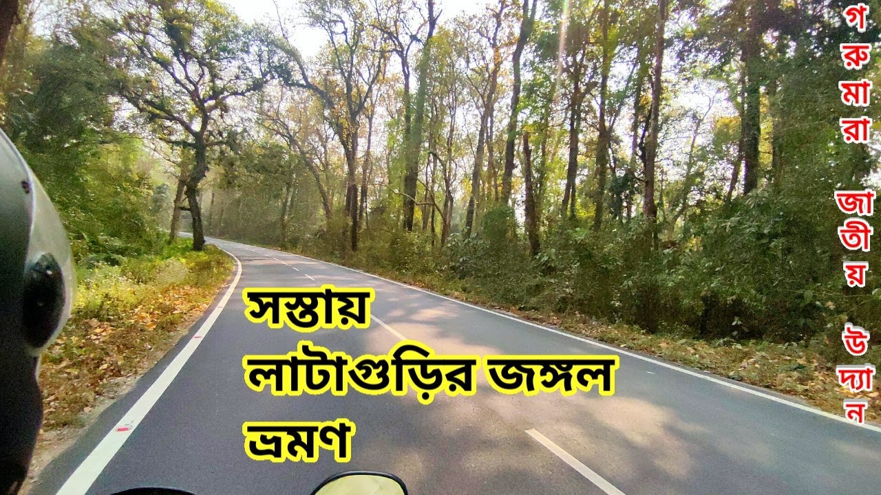 সস্তায় লাটাগুড়ি ভ্রমণ | গরুমারা জাতীয় উদ্যান | Lataguri forest | Gorumara National Park