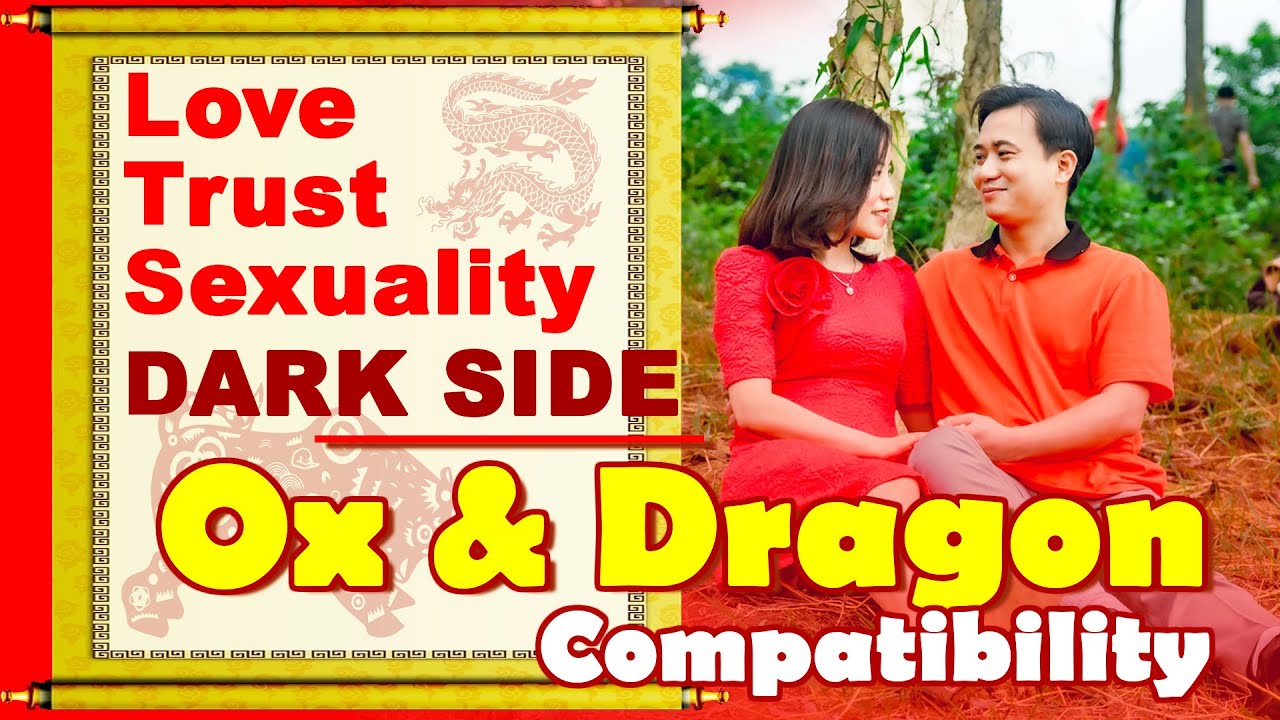 Ox and Dragon Compatibility in Love, Life, Trust, and Intimacy | Ox and Dragon Chinese Zodiac Compat