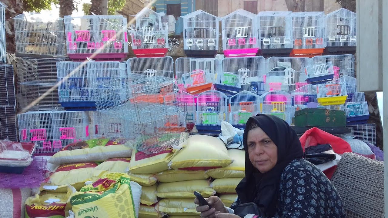 اسعار الاقفاص والسلاكات والشيالات والمسق والاكالات وكمان اسعار اكل العصافير عند الحاجة ام علي اليوم