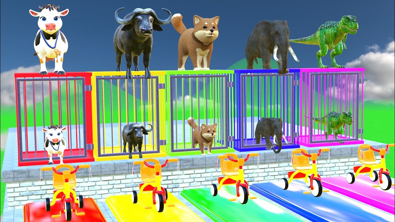 Cute animals Escape &race on color  slides   animals challenge 