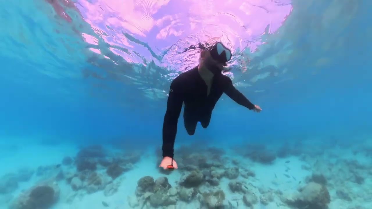 Snorkeling Hook Island with #oceanrafting Airlie Beach QLD!