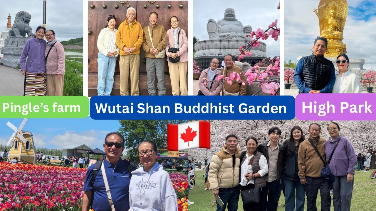 🇨🇦 High Park Cherry blossom 🌸 | Pingle’s Farm | Wutai Shan Buddhist Garden #canadavlogs