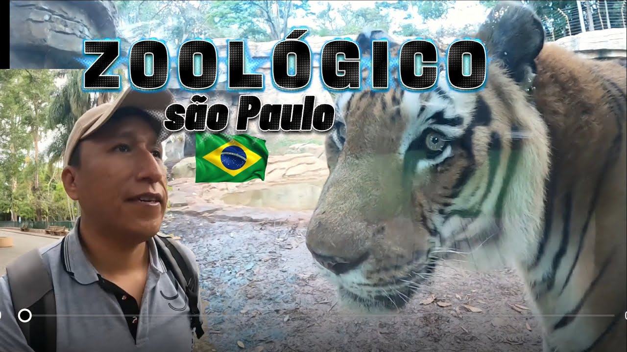🦏🐆ZOOLÓGICO en sâo paulo brasil 🇧🇷