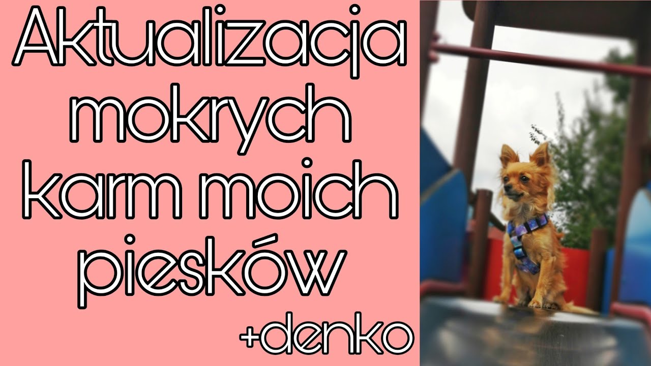 Mokre karmy moich piesków🐶