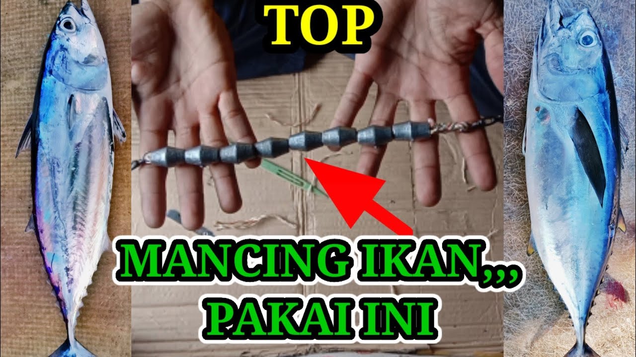 Cara Membuat Timah Pemberat Untuk Mancing Ikan Cakalang