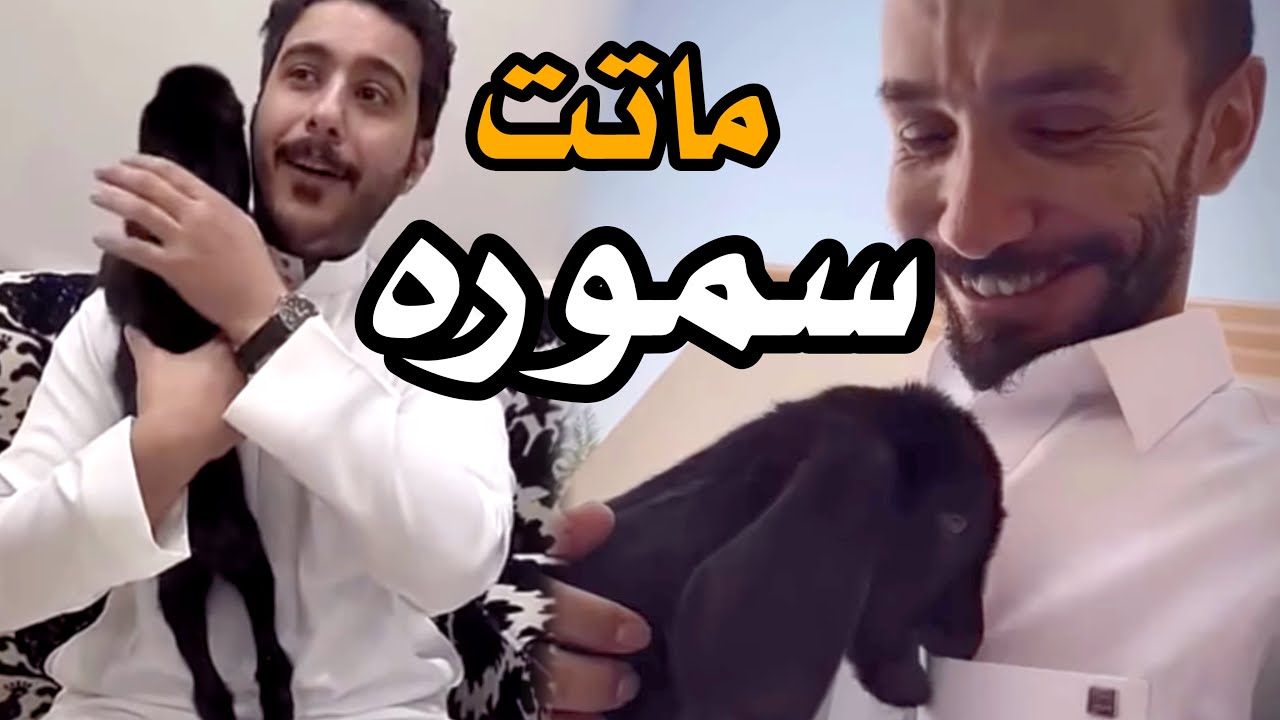 #ابوحصه | الدنيا دواره وماتت سموره 🥲😅