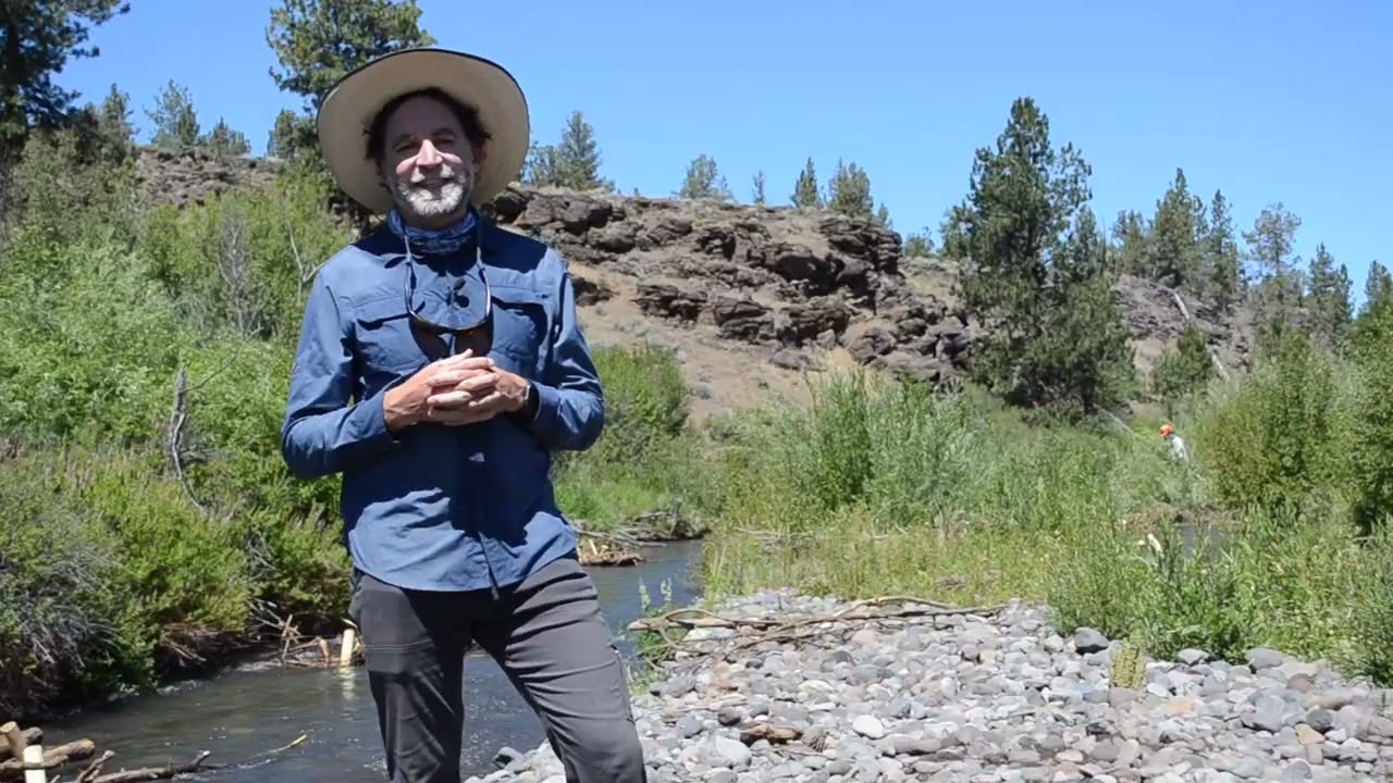 Willow Springs Preserve Restoration Update